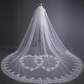 3 Meters Beige Tulle Lace Cathedral Wedding Veil Chapel With Comb Bridal Veil for Wedding Dress